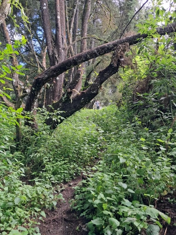 Vendo Interesante Terreno de Esquina Ubicado en Don Justo para Proyecto o para Residencia — Terreno en Venta en Carretera a El Salvador, Guatemala, Ciudad — foto 3 de 10
