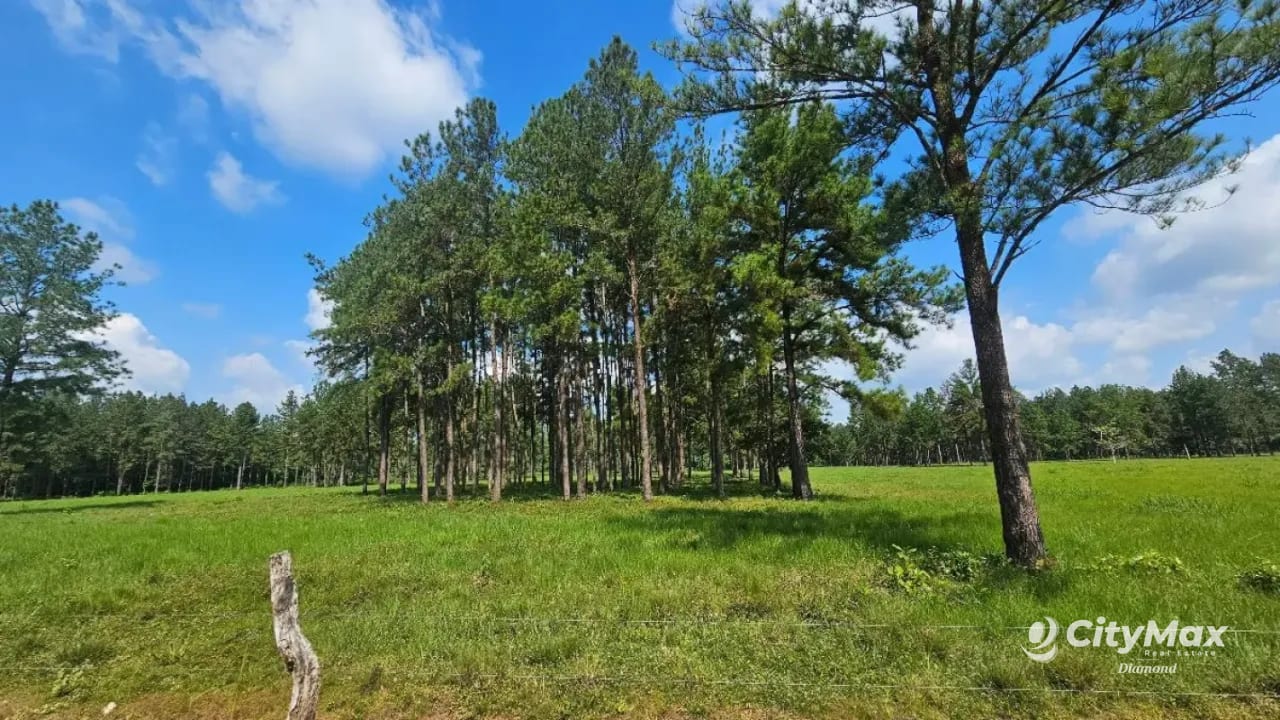 Finca de 4,876 manzanas en Venta en Petén — Finca en Venta en Sayaxché, Petén — foto 3 de 4