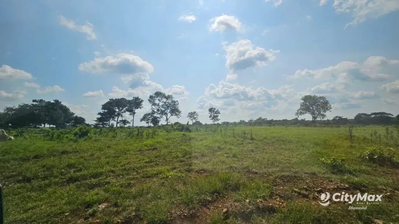 Finca de 4,876 manzanas en Venta en Petén — Finca en Venta en Sayaxché, Petén — foto 2 de 4