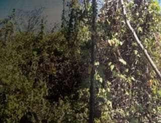 VENDO TERRENO EN CASA Y CAMPO CARRETERA A EL SALVADOR — Terreno en Venta en Carretera a El Salvador, Guatemala, Ciudad — miniatura 3 de 4