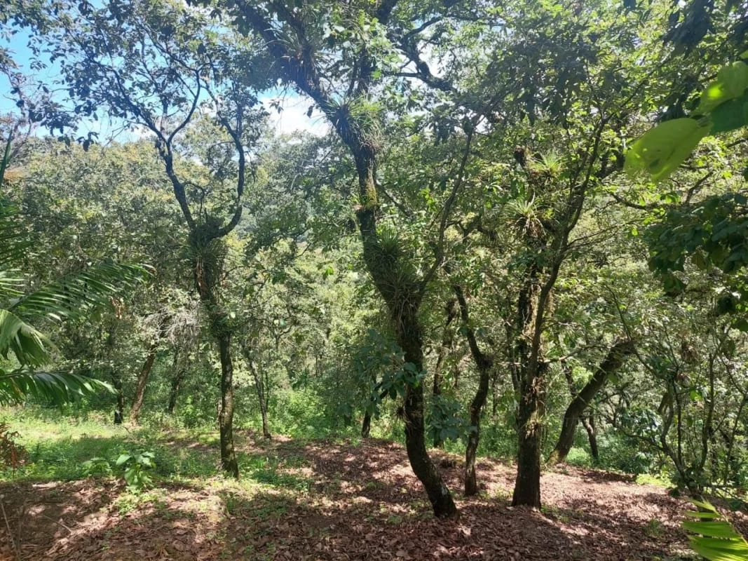 TERRENO en Venta-  Alamedas de Yumar, zona 6 mixco — Terreno en Venta en Zona 6 Mixco, Guatemala, Ciudad — foto 2 de 13