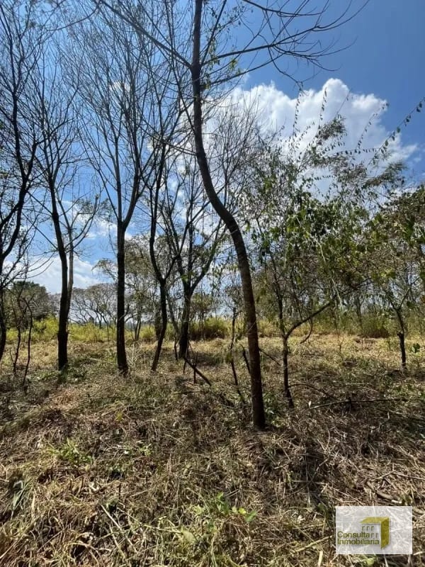 Casa y Campo/ terreno en venta/ 12120v2 — Terreno en Venta en Carretera a El Salvador, Guatemala, Ciudad — foto 5 de 8
