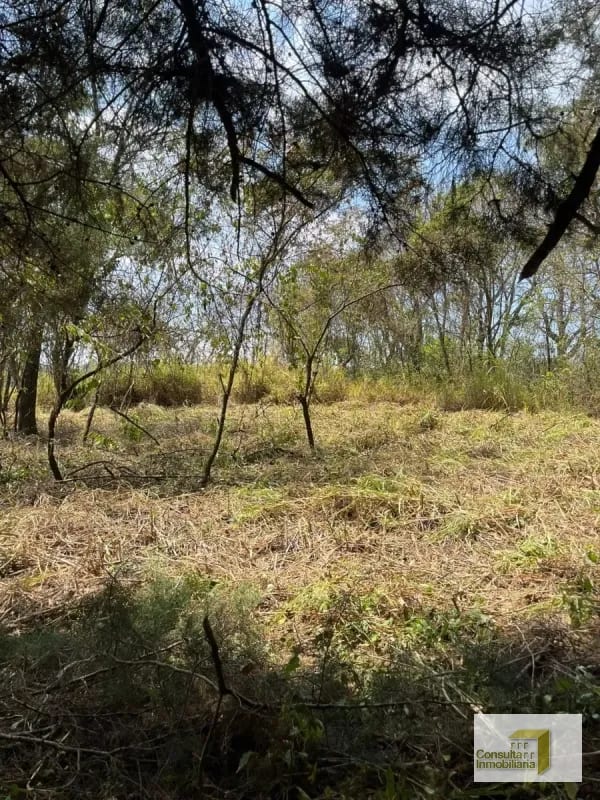 Casa y Campo/ terreno en venta/ 12120v2 — Terreno en Venta en Carretera a El Salvador, Guatemala, Ciudad — foto 4 de 8