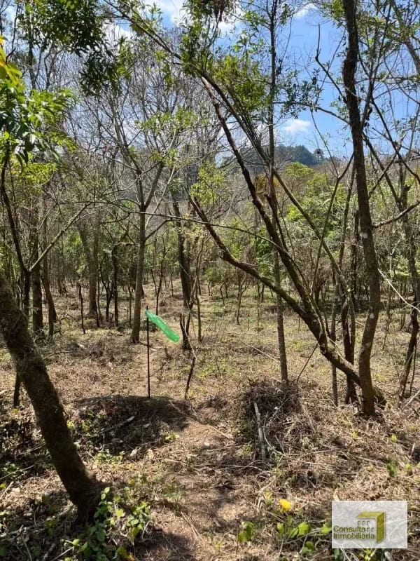 Casa y Campo/ terreno en venta/ 2411v2 — Terreno en Venta en Carretera a El Salvador, Guatemala, Ciudad — foto 4 de 4