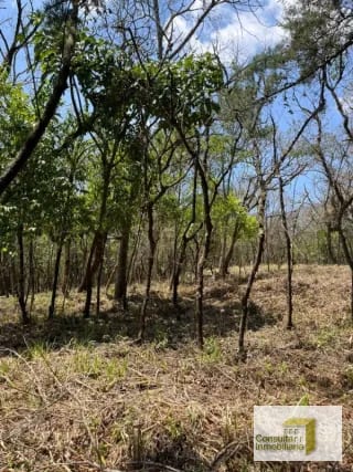 Casa y Campo/ terreno en venta/ 3286v2 — Terreno en Venta en Carretera a El Salvador, Guatemala, Ciudad — miniatura 4 de 6