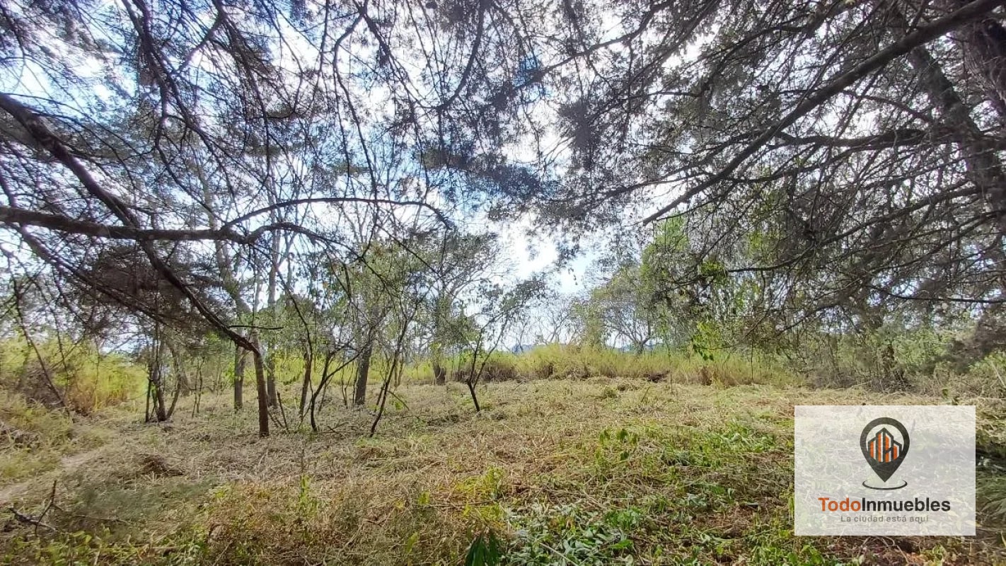 Terrenos en Venta en Casa y Campo km 23.5 CES — Terreno en Venta en km 21-25, Carretera a El Salvador, Guatemala, Ciudad — foto 14 de 15