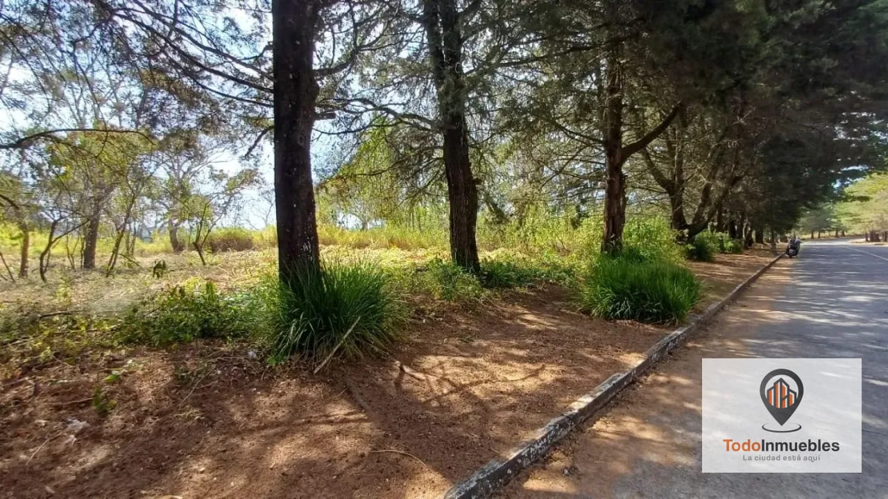 Terrenos en Venta en Casa y Campo km 23.5 CES — Terreno en Venta en km 21-25, Carretera a El Salvador, Guatemala, Ciudad — foto 13 de 15