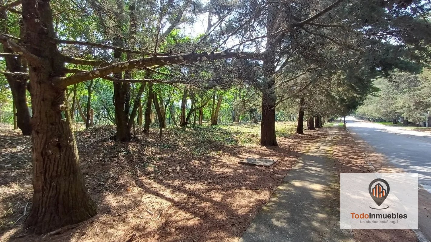 Terrenos en Venta en Casa y Campo km 23.5 CES — Terreno en Venta en km 21-25, Carretera a El Salvador, Guatemala, Ciudad — foto 12 de 15