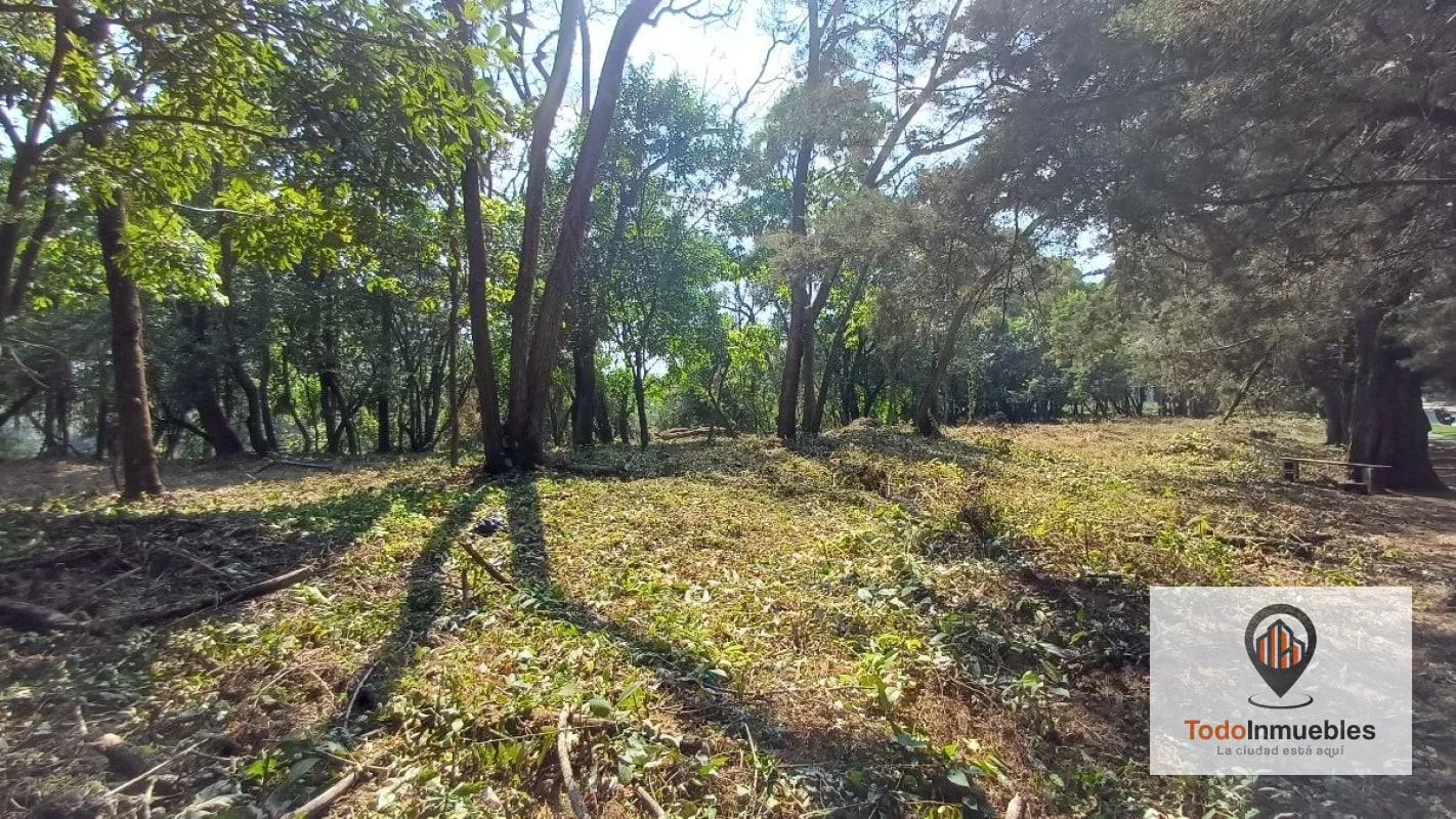 Terrenos en Venta en Casa y Campo km 23.5 CES — Terreno en Venta en km 21-25, Carretera a El Salvador, Guatemala, Ciudad — foto 11 de 15