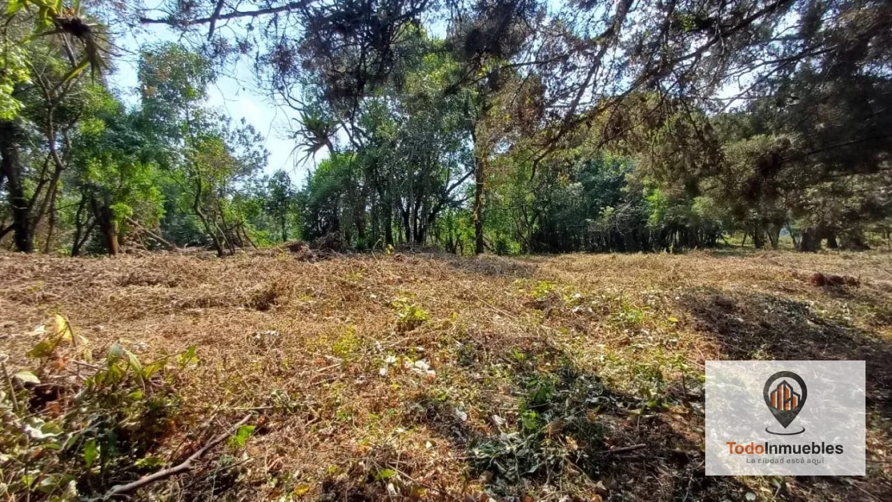 Terrenos en Venta en Casa y Campo km 23.5 CES — Terreno en Venta en km 21-25, Carretera a El Salvador, Guatemala, Ciudad — foto 10 de 15