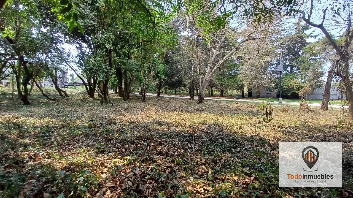 Terrenos en Venta en Casa y Campo km 23.5 CES — Terreno en Venta en km 21-25, Carretera a El Salvador, Guatemala, Ciudad — foto 9 de 15