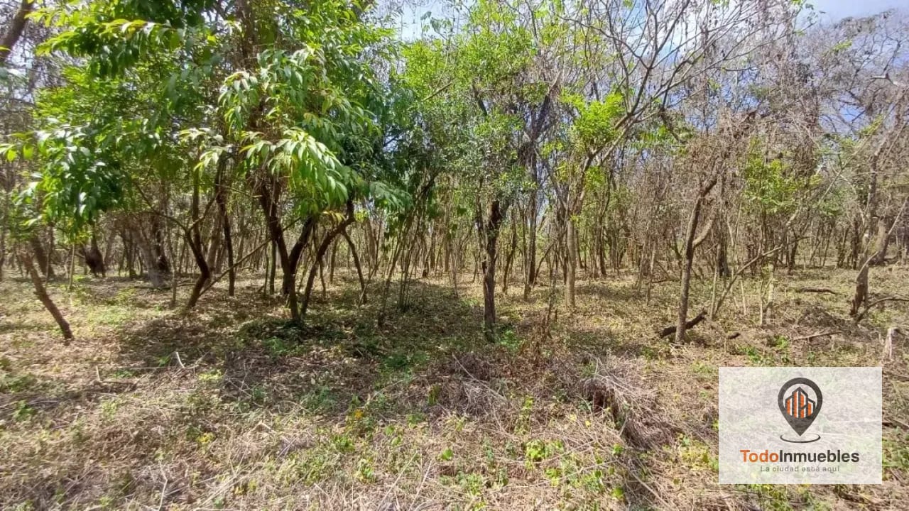 Terrenos en Venta en Casa y Campo km 23.5 CES — Terreno en Venta en km 21-25, Carretera a El Salvador, Guatemala, Ciudad — foto 3 de 15