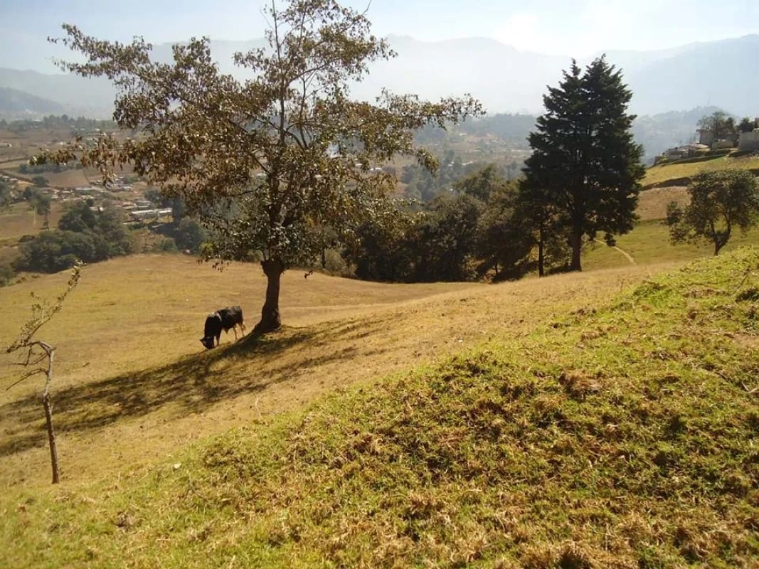 XELA VENDO TERRENO DE 19 CUERDAS — Terreno en Venta en Cantel, Quetzaltenango — foto 1 de 5