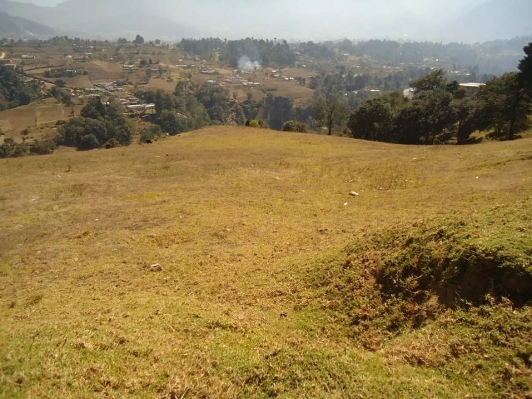 XELA VENDO TERRENO DE 19 CUERDAS — Terreno en Venta en Cantel, Quetzaltenango — foto 4 de 5
