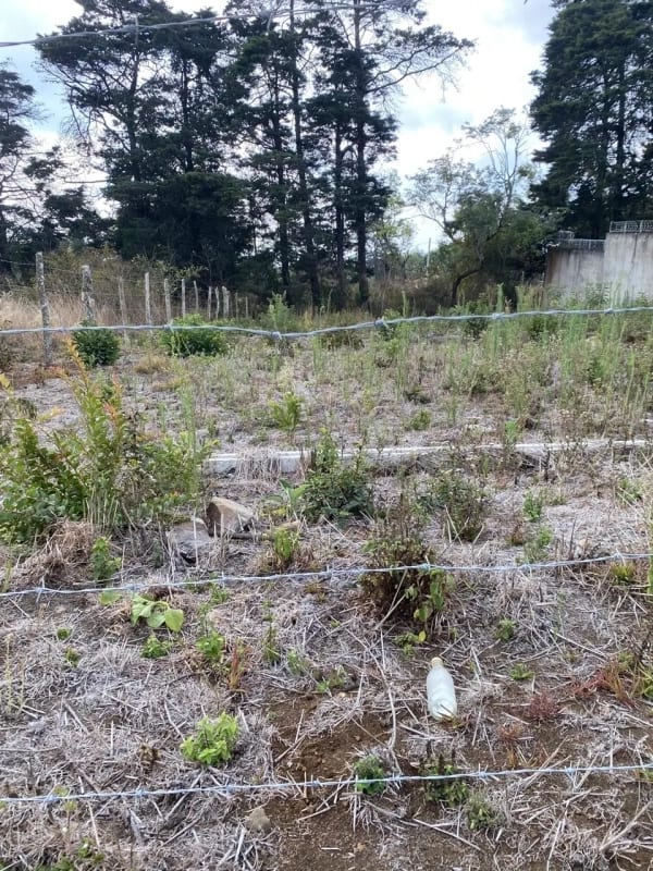VENDO TERRENO EN JARDINES DE VERSALLES II, RUMBO A SANTA ELENA BARILLAS — Terreno en Venta en Villa Canales, Guatemala, Ciudad — foto 1 de 1