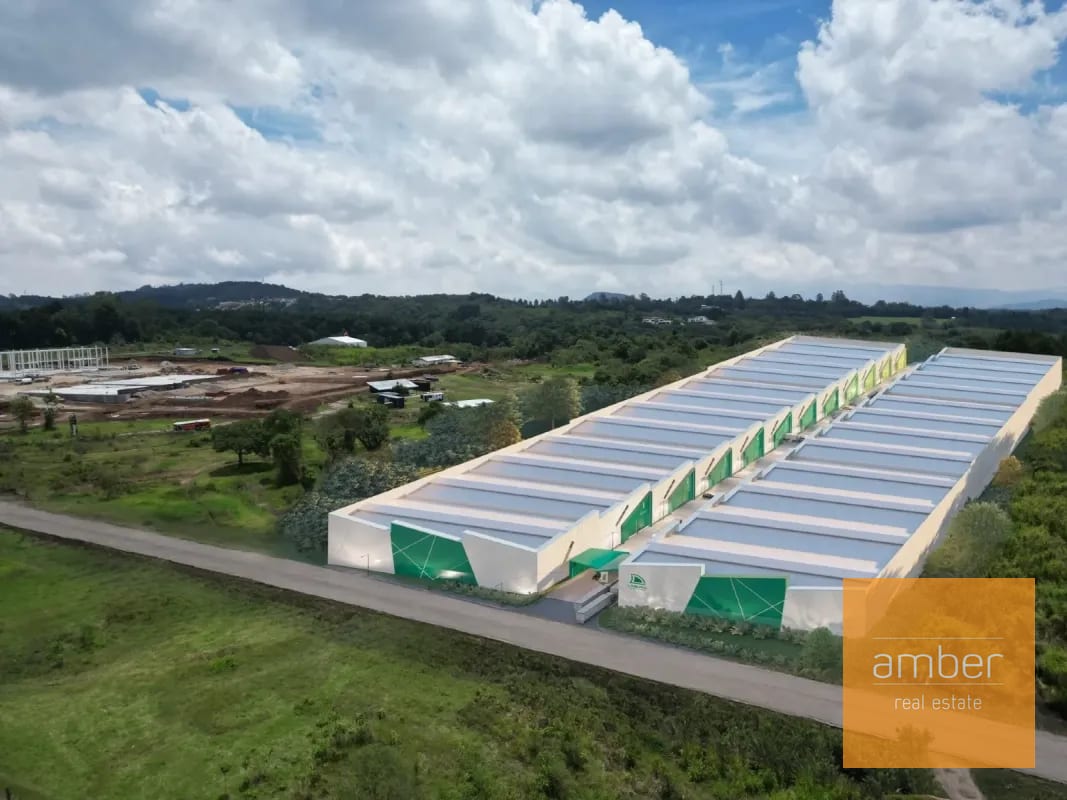 Laguna Logistic Park, CAES — Bodega / Ofibodega en Alquiler en Carretera a El Salvador, Guatemala, Ciudad — foto 4 de 7