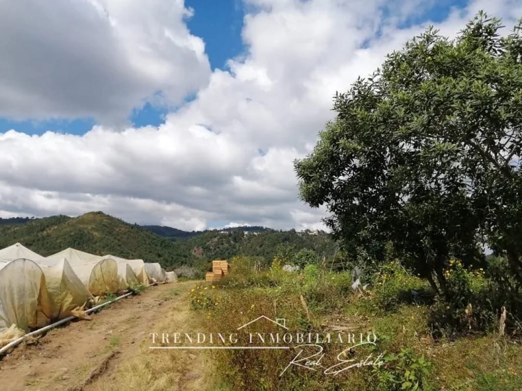 Terreno en venta zona 18 sector Las Tapias con 96 manzanas de extensión — Terreno en Venta en Zona 18, Guatemala, Ciudad — foto 6 de 6