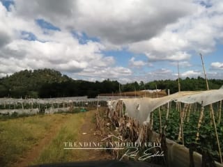 Terreno en venta zona 18 sector Las Tapias con 96 manzanas de extensión — Terreno en Venta en Zona 18, Guatemala, Ciudad — miniatura 3 de 6
