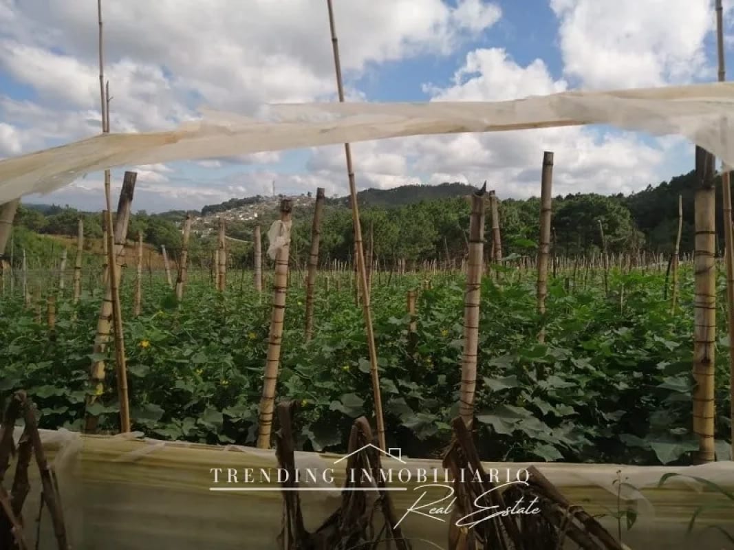 Terreno en venta zona 18 sector Las Tapias con 96 manzanas de extensión — Terreno en Venta en Zona 18, Guatemala, Ciudad — foto 2 de 6