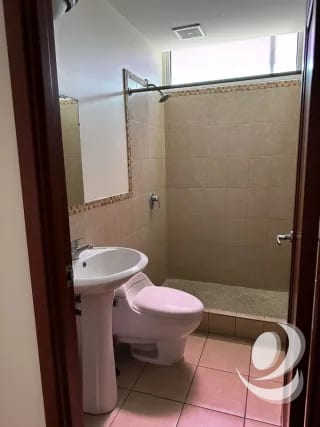 Rento Apartamento en Majadas, zona 11 Guatemala — Apartamento en Alquiler en Jardines de Las Charcas, Zona 11, Guatemala, Ciudad — miniatura 2 de 14