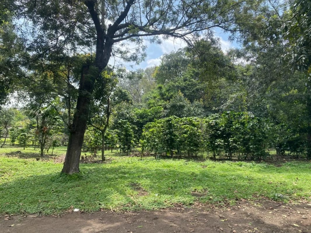 PRECIOSA PROPIEDAD DE ESQUINA EN ALOTENANGO FRENTE A LA RN14 — Terreno en Venta en Alotenango, Sacatepéquez — foto 6 de 14