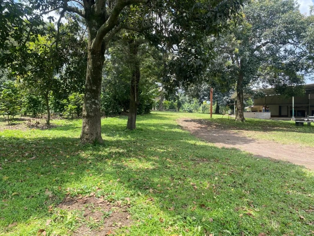 PRECIOSA PROPIEDAD DE ESQUINA EN ALOTENANGO FRENTE A LA RN14 — Terreno en Venta en Alotenango, Sacatepéquez — foto 3 de 14