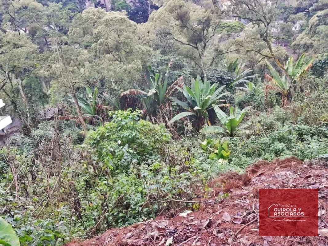 TERRENO EN VENTA EN SANTA ROSALIA 085TVSTD/ NUEVO PRECIO — Terreno en Venta en Santa Rosalia La Laguna, Carretera a El Salvador, Guatemala, Ciudad — foto 9 de 9