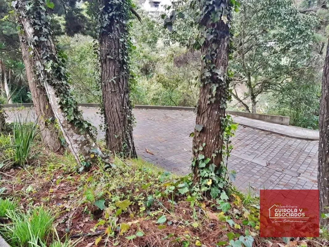 TERRENO EN VENTA EN SANTA ROSALIA 085TVSTD/ NUEVO PRECIO — Terreno en Venta en Santa Rosalia La Laguna, Carretera a El Salvador, Guatemala, Ciudad — foto 8 de 9
