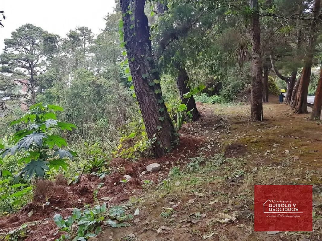 TERRENO EN VENTA EN SANTA ROSALIA 085TVSTD/ NUEVO PRECIO — Terreno en Venta en Santa Rosalia La Laguna, Carretera a El Salvador, Guatemala, Ciudad — foto 4 de 9