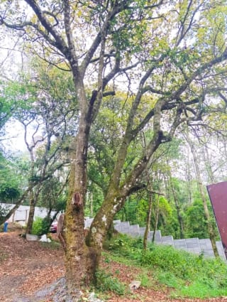 Terreno en Venta en San Lucas — Terreno en Venta en San Lucas Sacatepéquez, Sacatepéquez — miniatura 6 de 9
