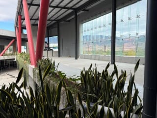 Locales disponibles en Renta en Chiquimula — Local en Alquiler en Chiquimula, Chiquimula — miniatura 4 de 14
