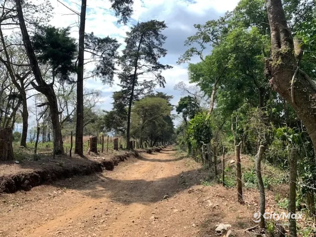 Terreno 7 manzanas km 26.5 a Santa Elena Barillas — Terreno en Venta en Santa Elena Barillas, Guatemala, Ciudad — foto 6 de 6