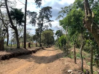 Terreno 7 manzanas km 26.5 a Santa Elena Barillas — Terreno en Venta en Santa Elena Barillas, Guatemala, Ciudad — miniatura 6 de 6
