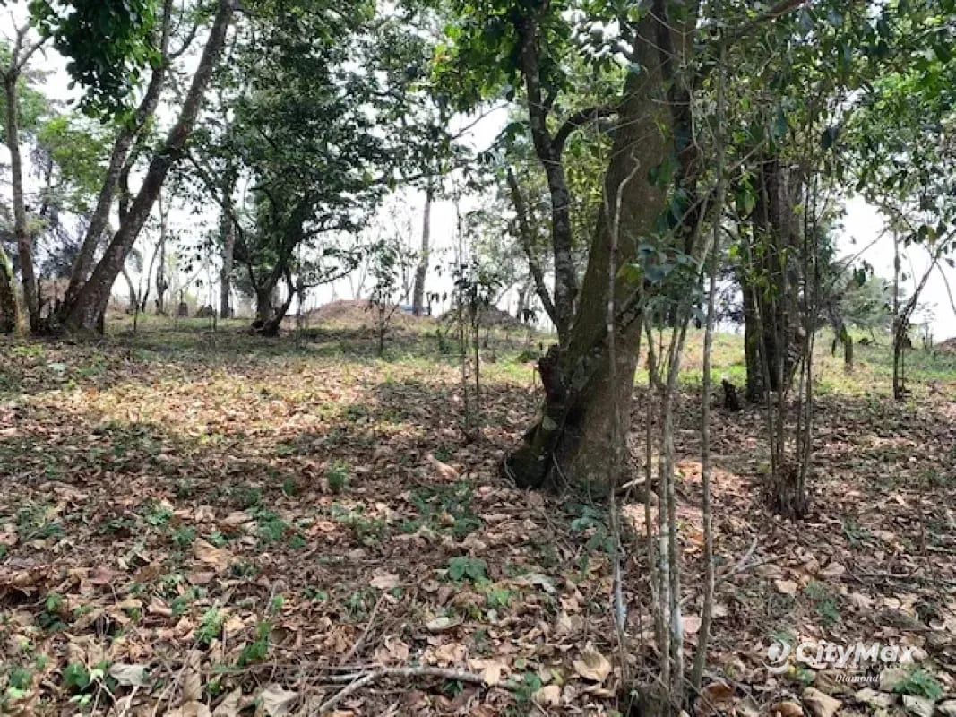Terreno 7 manzanas km 26.5 a Santa Elena Barillas — Terreno en Venta en Santa Elena Barillas, Guatemala, Ciudad — foto 4 de 6