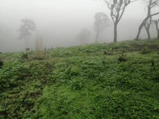 Terreno 7 manzanas km 26.5 a Santa Elena Barillas — Terreno en Venta en Santa Elena Barillas, Guatemala, Ciudad — miniatura 2 de 6