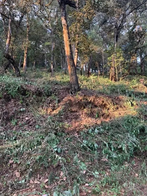 El Encinal, tronco 10. Terreno de 4,460 varas en venta Q900,000 más impuestos, negociable — Terreno en Venta en El Encinal, Zona 7 Mixco, Guatemala, Ciudad — foto 2 de 9