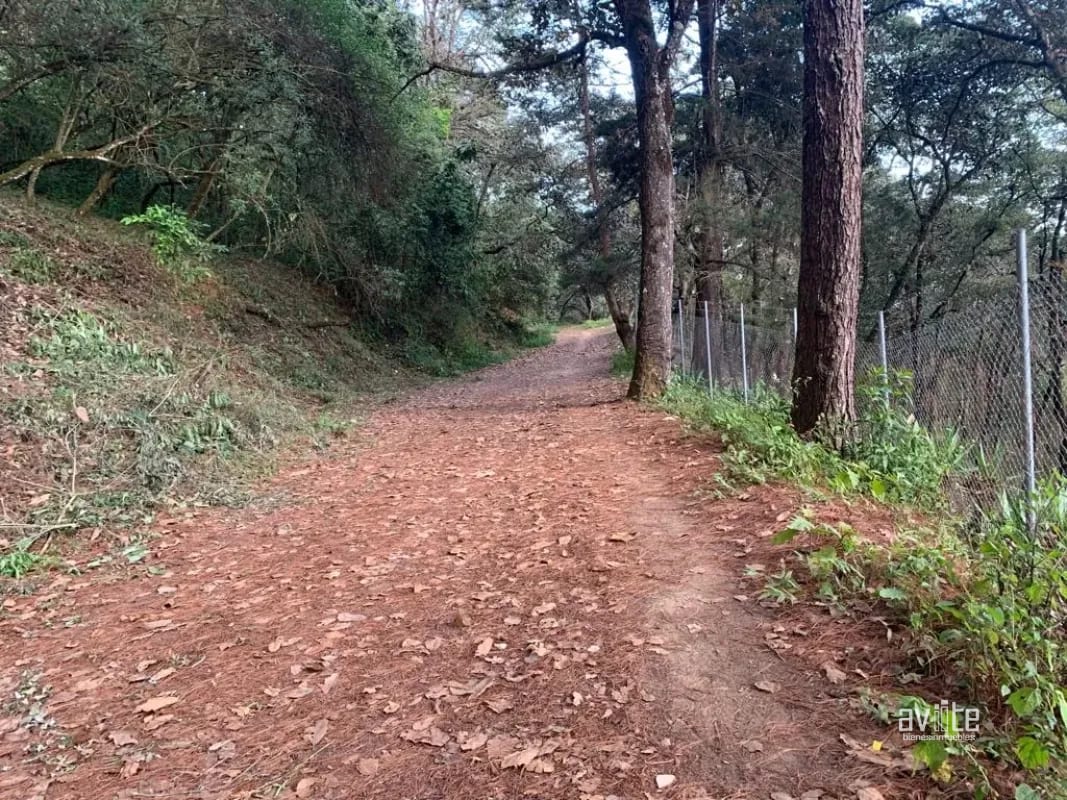 El Encinal, tronco 10.   Terreno de 4,460 varas en venta Q900,000 más impuestos, negociable — Terreno en Venta en El Encinal, Zona 7 Mixco, Guatemala, Ciudad — foto 4 de 9
