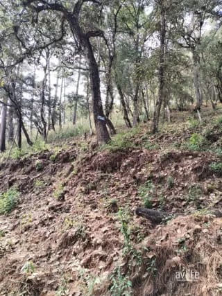El Encinal, tronco 10.   Terreno de 4,460 varas en venta Q900,000 más impuestos, negociable — Terreno en Venta en El Encinal, Zona 7 Mixco, Guatemala, Ciudad — miniatura 1 de 9