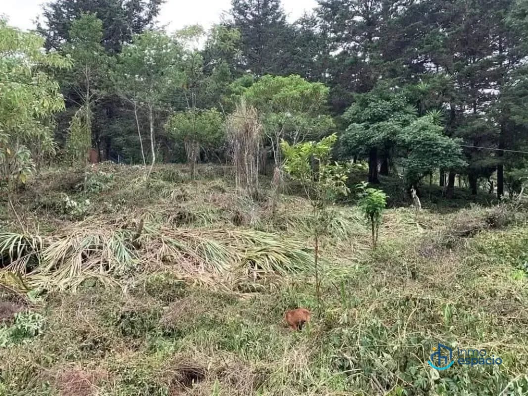 Terreno en venta – Km. 16 Carretera a El Salvador — Terreno en Venta en km 16-20, Carretera a El Salvador, Guatemala, Ciudad — foto 1 de 17