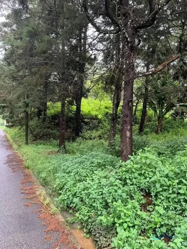 Terreno en venta – Km. 16 Carretera a El Salvador — Terreno en Venta en km 16-20, Carretera a El Salvador, Guatemala, Ciudad — foto 16 de 17