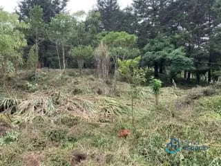 Terreno en venta – Km. 16 Carretera a El Salvador — Terreno en Venta en km 16-20, Carretera a El Salvador, Guatemala, Ciudad — miniatura 5 de 17