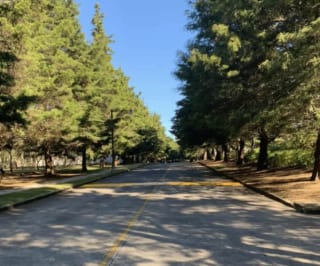 PROYECTO Terrenos en venta Casa & Campo, Carretera a El Salvador — Terreno en Venta en Carretera a El Salvador, Guatemala, Ciudad — miniatura 3 de 5