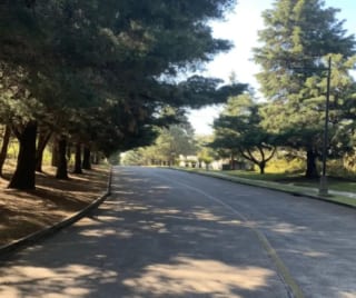 PROYECTO Terrenos en venta Casa & Campo, Carretera a El Salvador — Terreno en Venta en Carretera a El Salvador, Guatemala, Ciudad — miniatura 1 de 5