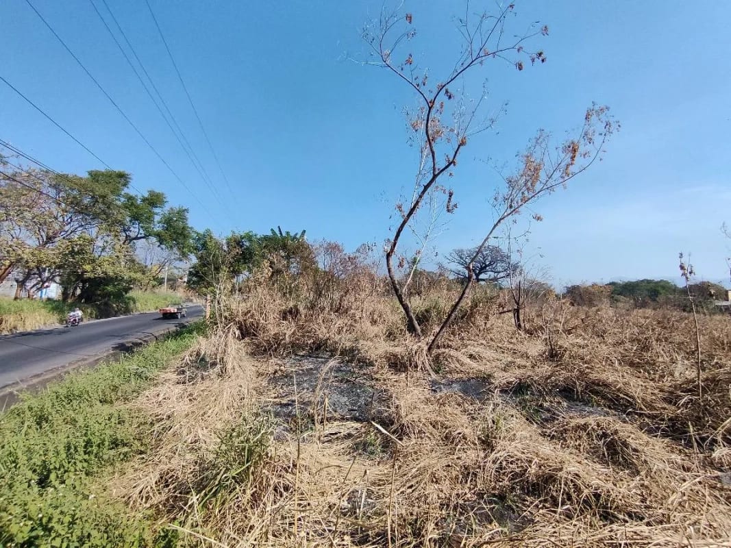 Alquilo terreno en Escuinta de 2.5 manzanas, muy cerca de Prados de la Costa Sur — Terreno en Alquiler en Costa Sur, Escuintla — foto 11 de 12