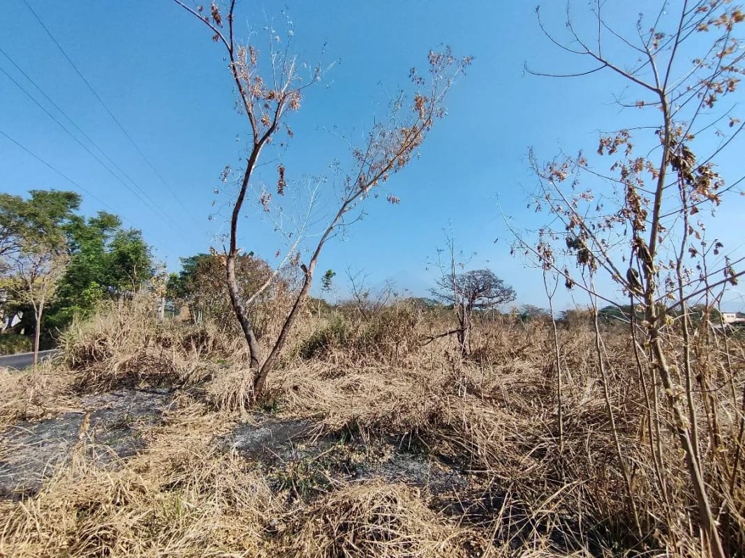 Alquilo terreno en Escuinta de 2.5 manzanas, muy cerca de Prados de la Costa Sur — Terreno en Alquiler en Costa Sur, Escuintla — foto 9 de 12