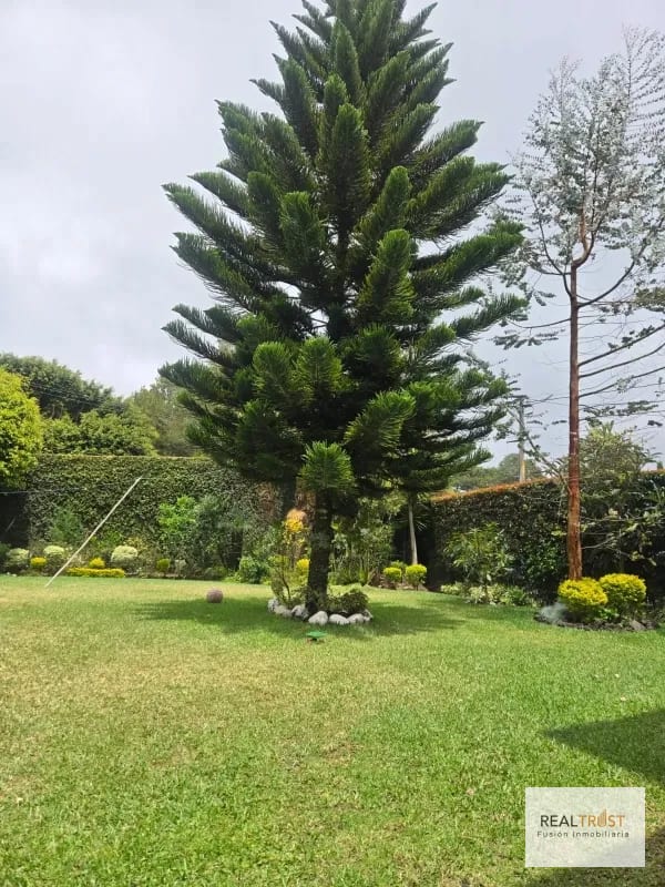 Amplia casa en venta  Km 18.5 carretera el salvador — Casa en Venta en km 16-20, Carretera a El Salvador, Guatemala, Ciudad — foto 6 de 13