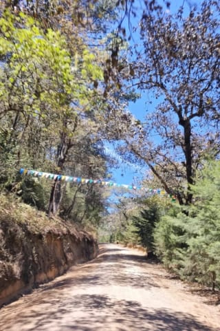 TERRENO EN VENTA EN HACIENDA LAS LLANURAS, KM 43.8 SUMPANCO, SACATEPEQUEZ — Terreno en Venta en Sumpango, Sacatepéquez — miniatura 7 de 15