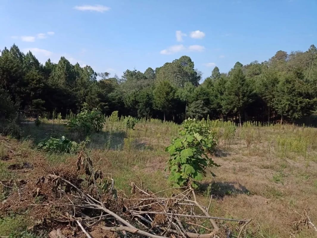 Terreno en Santa María Cauqué, Santiago Sacatepéquez — Terreno en Venta en Santiago Sacatepéquez, Sacatepéquez — foto 1 de 3