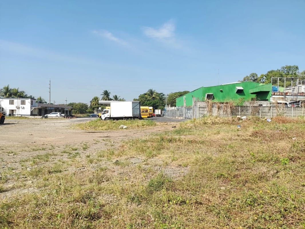 Rento terreno en Escuintla a largo plazo, pegado a la Despensa Familiar — Terreno en Alquiler en Palín, Escuintla — foto 5 de 9