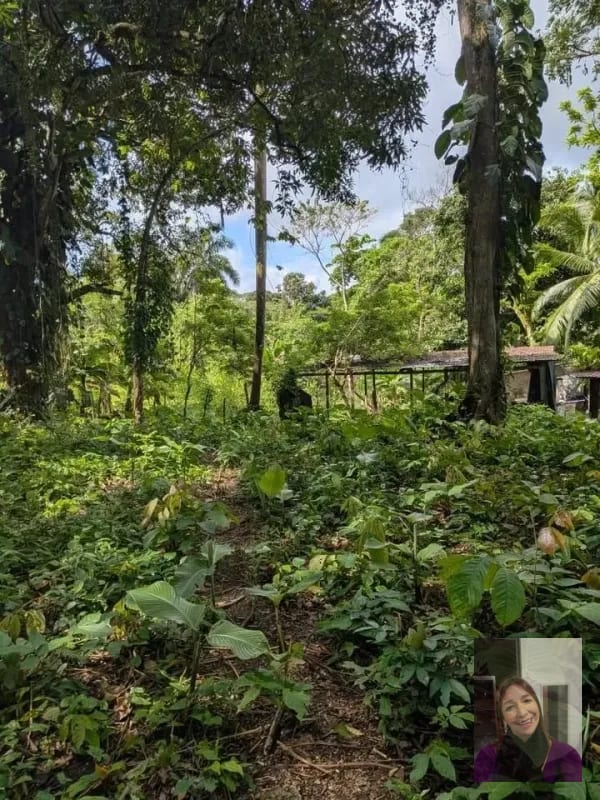 2 terrenos rústicos Aldea Buena Vista, Miramar, Livingston — Terreno en Venta en Livingston, Izabal — foto 9 de 10